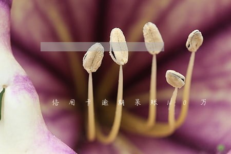 信用卡逾期呆账10万