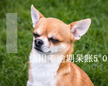 信用卡逾期呆账5000 信用卡逾期呆账5000