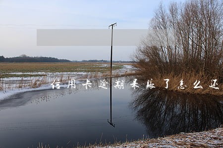 信用卡逾期呆账了怎么还 信用卡逾期呆账了怎么还