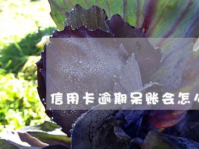 信用卡逾期呆账会怎么样 信用卡逾期呆账会怎么样
