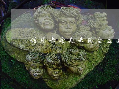 信用卡逾期呆账会立案吗