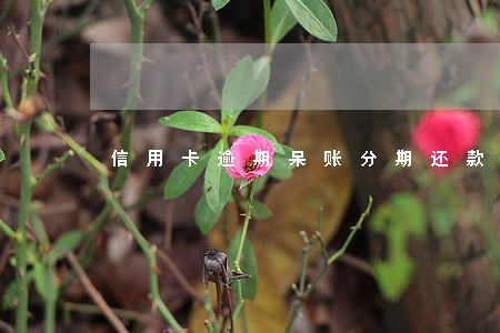 信用卡逾期呆账分期还款协议 信用卡逾期呆账分期还款协议