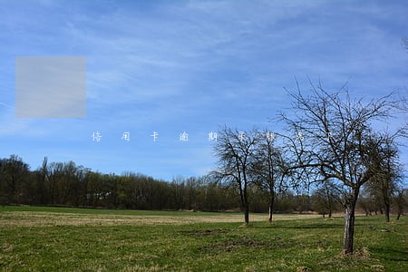 信用卡逾期呆账名下