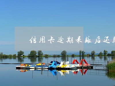 信用卡逾期呆账后还款 信用卡逾期呆账后还款