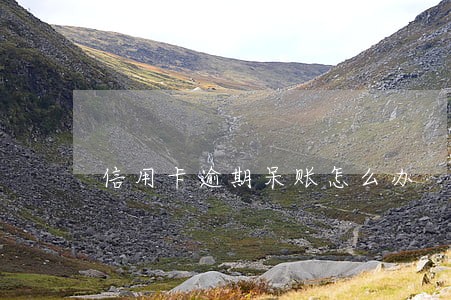 信用卡逾期呆账怎么办 信用卡逾期呆账怎么办