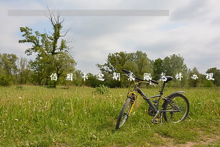 信用卡逾期呆账怎样办理房贷 信用卡逾期呆账怎样办理房贷