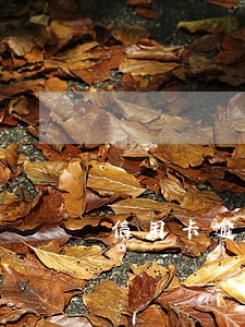 信用卡逾期呆账核销 信用卡逾期呆账核销