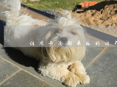 信用卡逾期呆账的话不出账单 信用卡逾期呆账的话不出账单