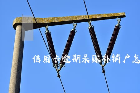 信用卡逾期呆账补销户怎么办 信用卡逾期呆账补销户怎么办