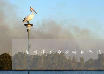 信用卡逾期呆账起诉吗 信用卡逾期呆账起诉吗