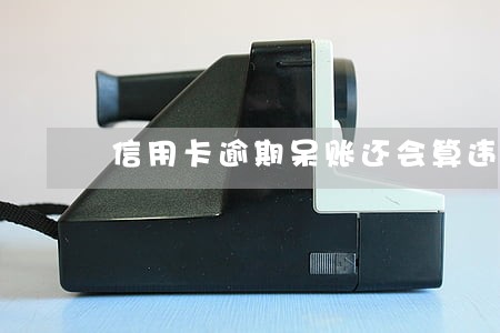 信用卡逾期呆账还会算违约金吗