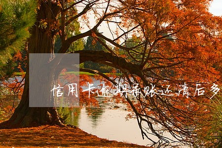 信用卡逾期呆账还清后多久消除