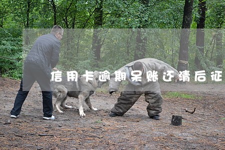信用卡逾期呆账还清后征信更新 信用卡逾期呆账还清后征信更新