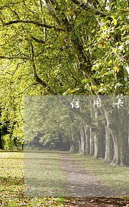 信用卡逾期告上法庭 信用卡逾期告上法庭