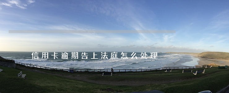 信用卡逾期告上法庭怎么处理