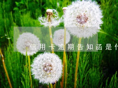 信用卡逾期告知函是什么样子 信用卡逾期告知函是什么样子