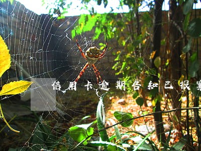 信用卡逾期告知已报案 信用卡逾期告知已报案