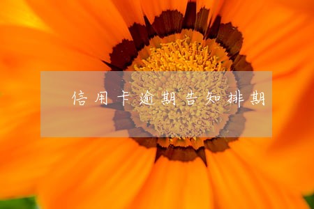 信用卡逾期告知排期 信用卡逾期告知排期