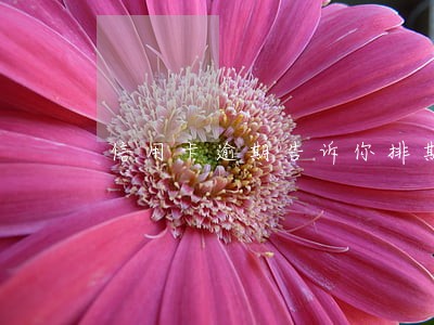 信用卡逾期告诉你排期开庭 信用卡逾期告诉你排期开庭