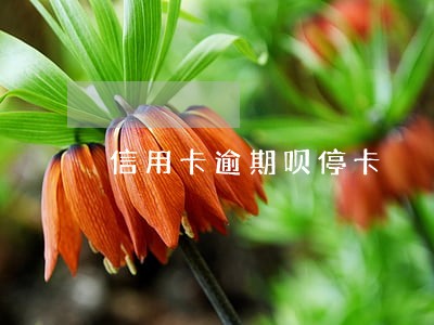 信用卡逾期呗停卡