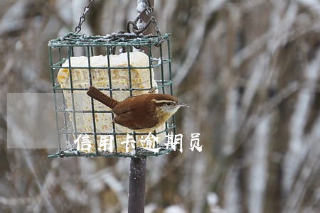 信用卡逾期员