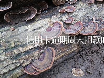 信用卡逾期周末扣款吗 信用卡逾期周末扣款吗
