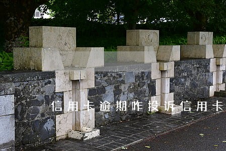 信用卡逾期咋投诉信用卡催收 信用卡逾期咋投诉信用卡催收