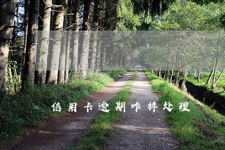 信用卡逾期咋样处理