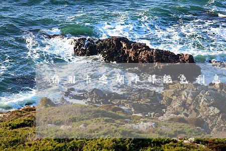 信用卡逾期咋样能免利息 信用卡逾期咋样能免利息