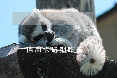 信用卡逾期咋看