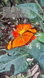 信用卡逾期和90天以上逾期 信用卡逾期和90天以上逾期