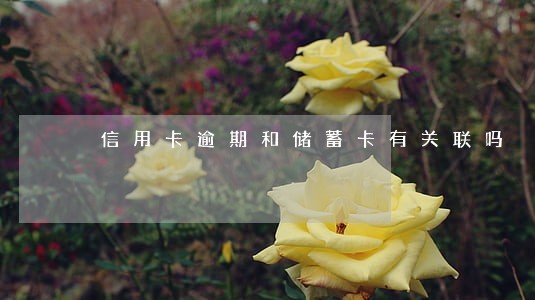 信用卡逾期和储蓄卡有关联吗 信用卡逾期和储蓄卡有关联吗