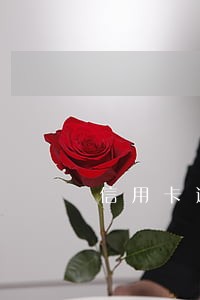 信用卡逾期和出国有关系吗 信用卡逾期和出国有关系吗
