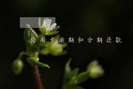 信用卡逾期和分期还款 信用卡逾期和分期还款