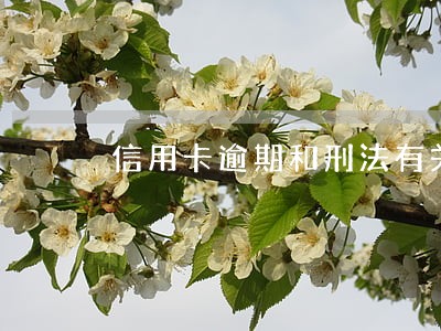 信用卡逾期和刑法有关吗 信用卡逾期和刑法有关吗