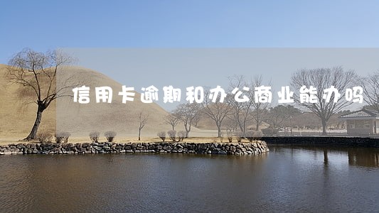 信用卡逾期和办公商业能办吗 信用卡逾期和办公商业能办吗