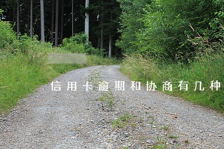 信用卡逾期和协商有几种方法