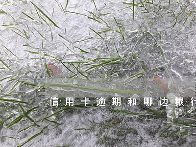 信用卡逾期和哪边银行协商 信用卡逾期和哪边银行协商