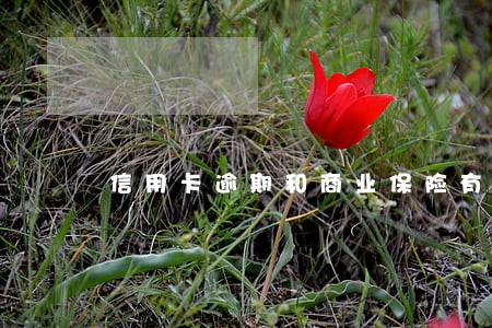 信用卡逾期和商业保险有没有关系 信用卡逾期和商业保险有没有关系