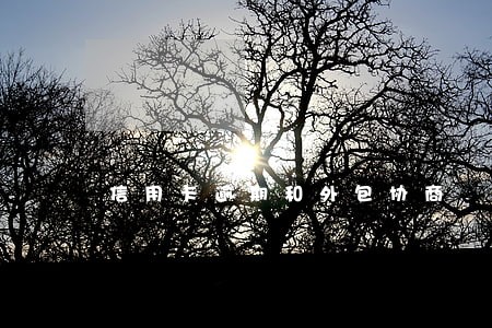 信用卡逾期和外包协商 信用卡逾期和外包协商
