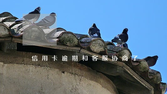 信用卡逾期和客服协商了 信用卡逾期和客服协商了