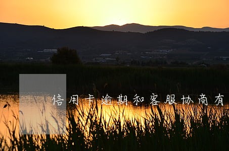 信用卡逾期和客服协商有用吗