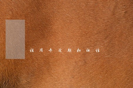 信用卡逾期和征信 信用卡逾期和征信