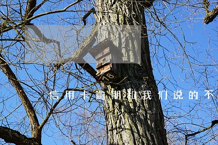信用卡逾期和我们说的不一样 信用卡逾期和我们说的不一样