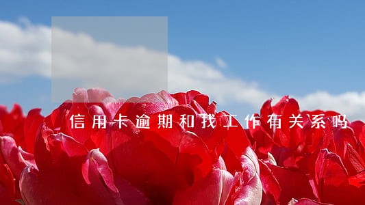 信用卡逾期和找工作有关系吗 信用卡逾期和找工作有关系吗
