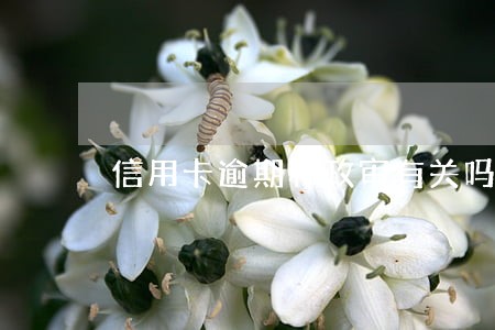 信用卡逾期和政审有关吗