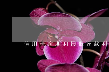 信用卡逾期和最低还款利息 信用卡逾期和最低还款利息