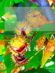 信用卡逾期和派出所有关系吗