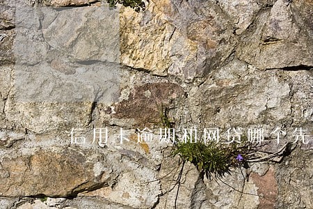 信用卡逾期和网贷哪个先还 信用卡逾期和网贷哪个先还