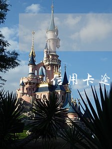 信用卡逾期和网贷逾期有啥区别 信用卡逾期和网贷逾期有啥区别